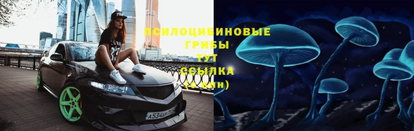 бутират Богданович