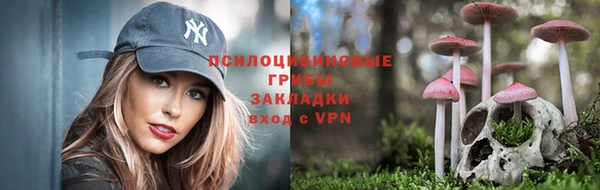 соль курить ск Белокуриха