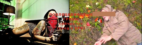 соль курить ск Белокуриха