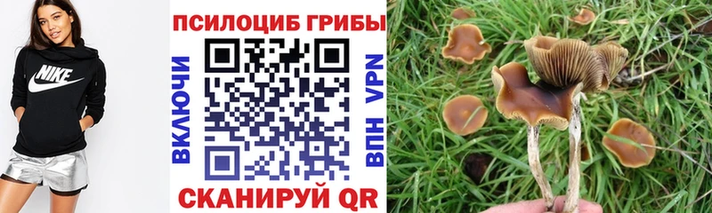 Галлюциногенные грибы мицелий  Болхов 