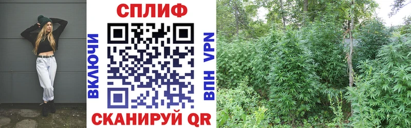 Каннабис LSD WEED хочу наркоту Болхов